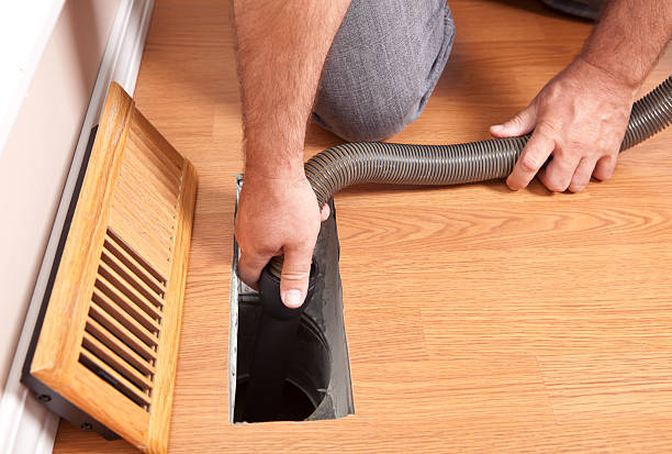 Best Mold and Mildew Removal from Ducts in Waverly, MN